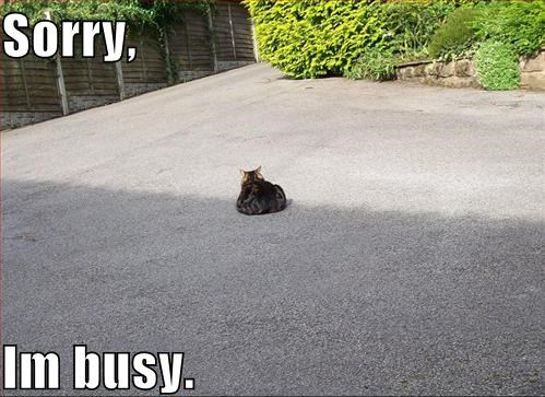 ImBusy