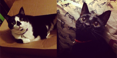 Left: 8kg of love. Right: Creepy bathing machine.