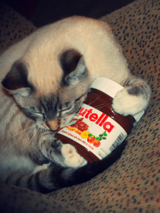 Screen Shot 2015-02-08 at 7.32.54 pm